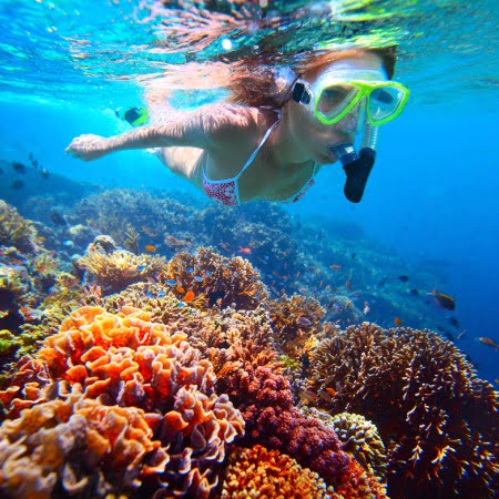 Vadum Maris Snorkel Vadum Maris Snorkel